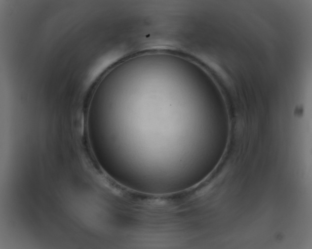 X0000093381317200710111447
