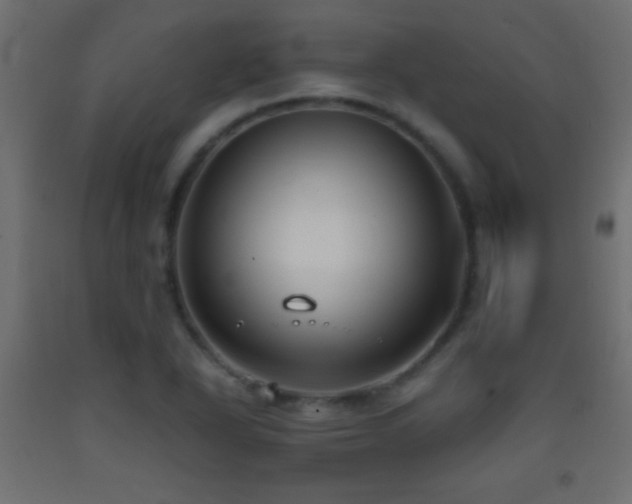 X0000093381318200710111447