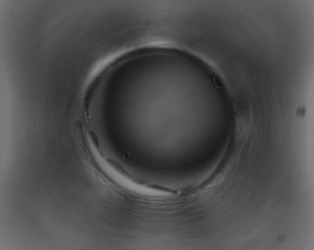 X0000093381319200710111447