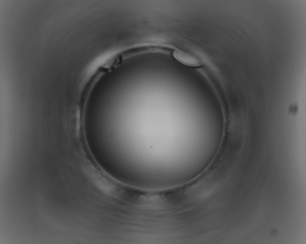 X0000093381320200710111447