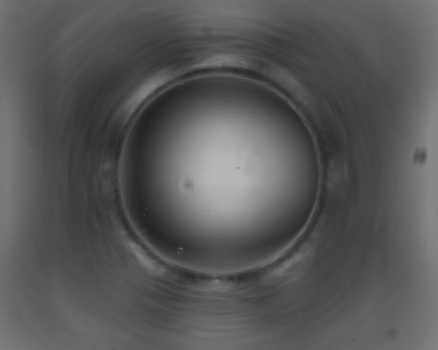 X0000093381321200710111447