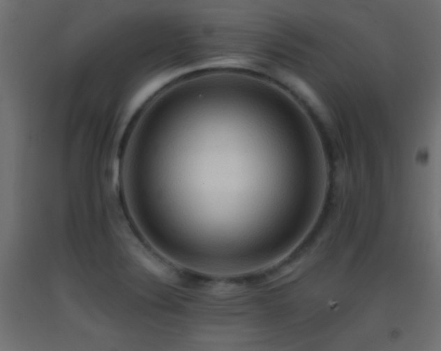 X0000093381324200710111447