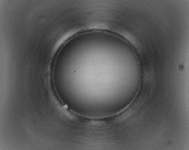 X0000093381325200710111447