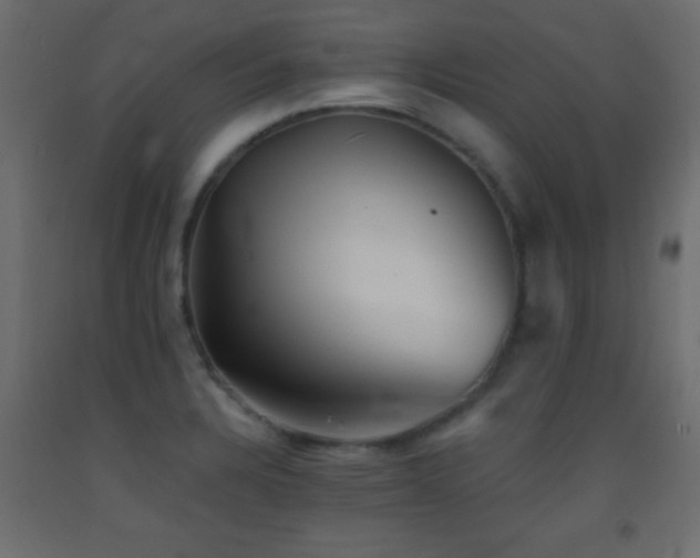 X0000093381328200710111447