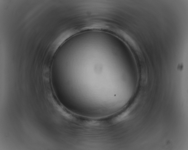 X0000093381329200710111447