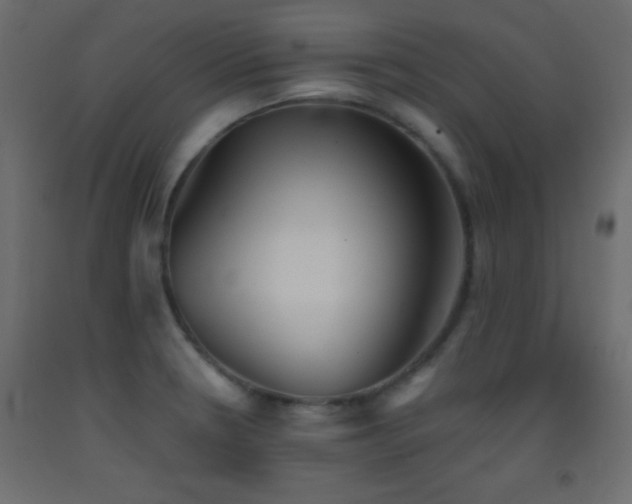 X0000093381330200710111447