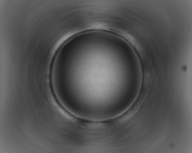 X0000093381331200710111447