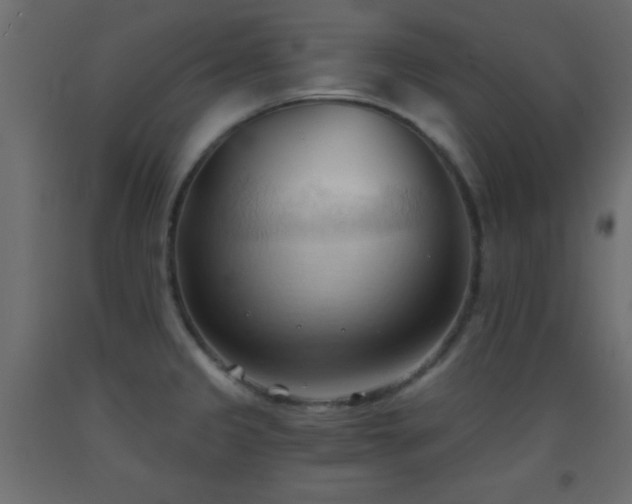 X0000093381333200710111447
