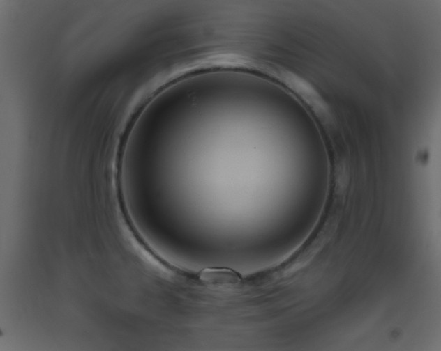 X0000093381334200710111447
