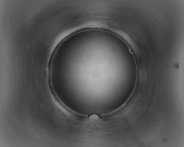 X0000093381335200710111447