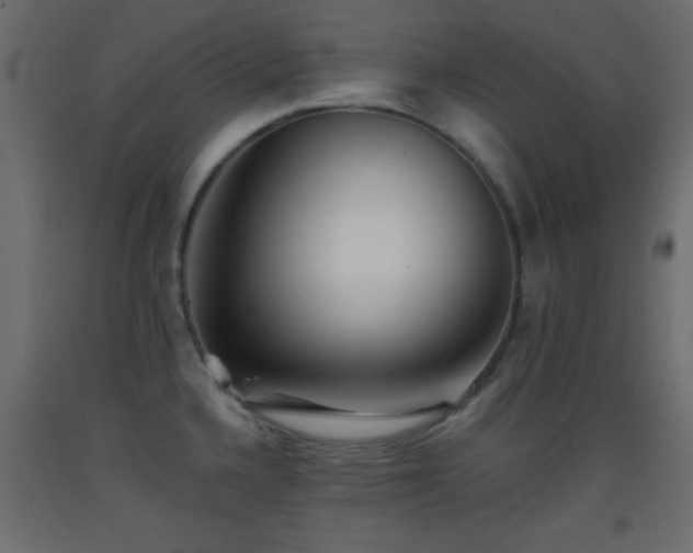 X0000093381336200710111447