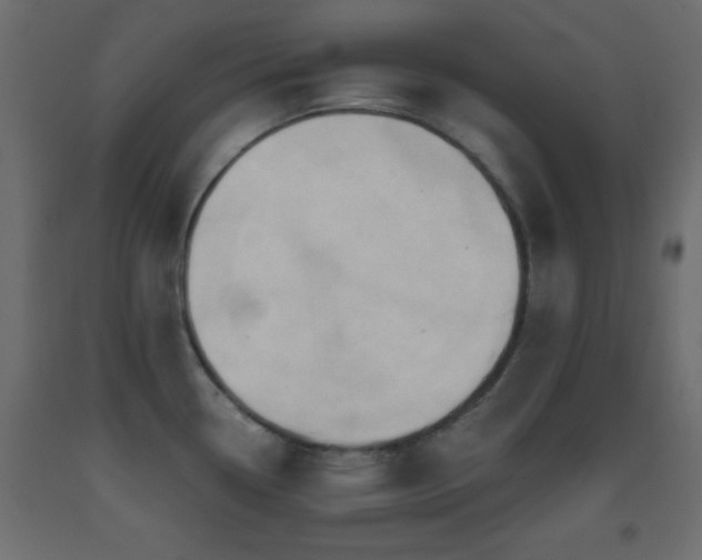 X0000093381338200710111447
