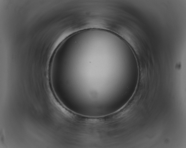 X0000093381339200710111447