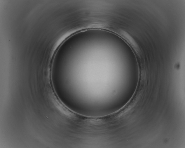 X0000093381340200710111447