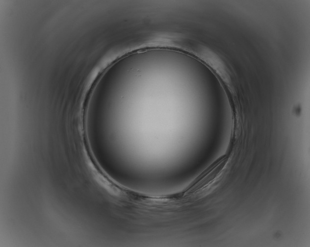 X0000093381342200710111447