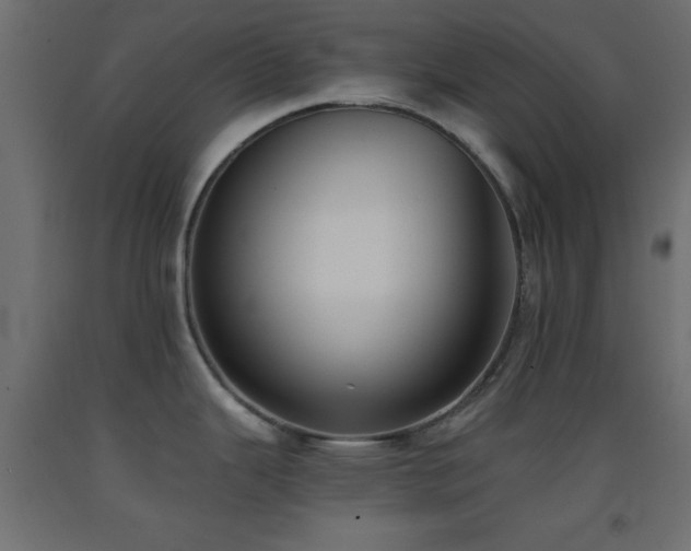 X0000093381343200710111447