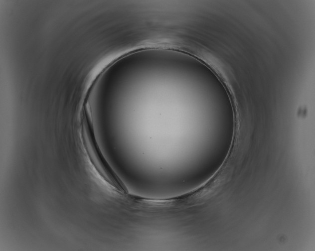 X0000093381344200710111447