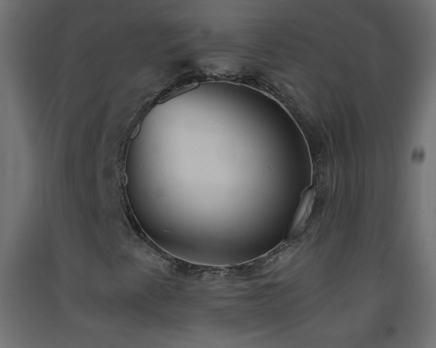 X0000093381345200710111446