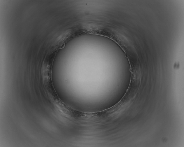 X0000093381346200710111446