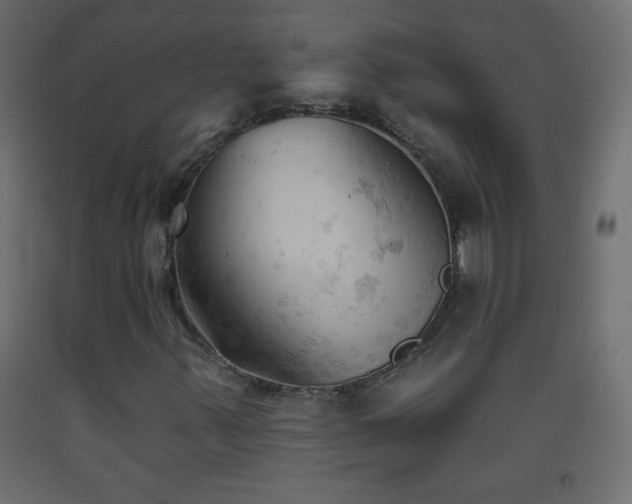 X0000093381347200710111446