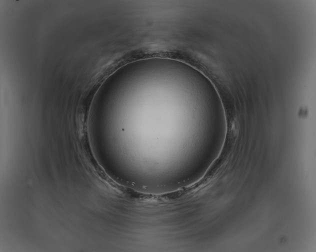 X0000093381348200710111446