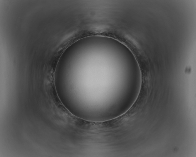 X0000093381349200710111446