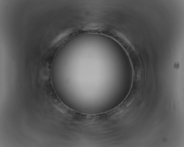 X0000093381350200710111446