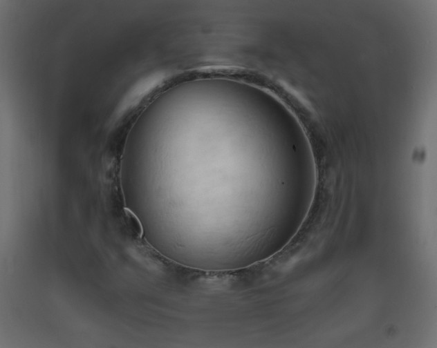 X0000093381351200710111446