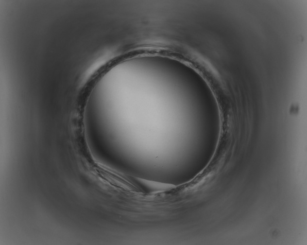 X0000093381352200710111446