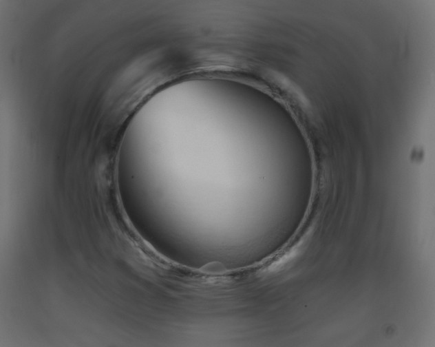X0000093381353200710111446