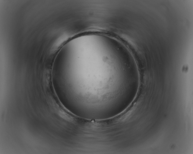 X0000093381355200710111446
