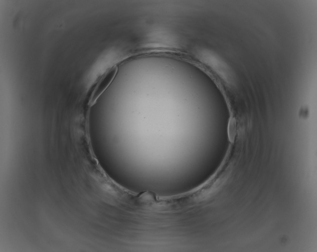 X0000093381357200710111446