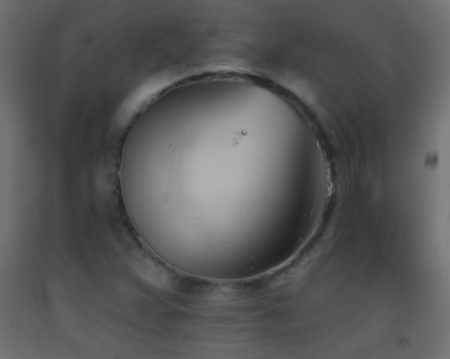 X0000093381359200710111446