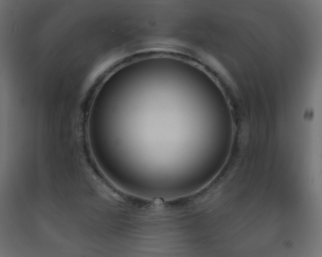 X0000093381360200710111446