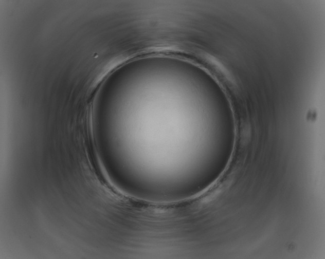 X0000093381361200710111446
