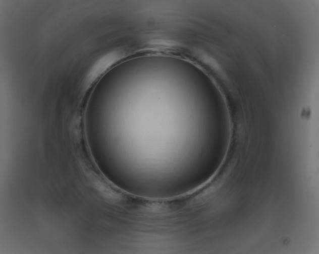 X0000093381362200710111446