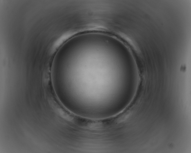 X0000093381363200710111446