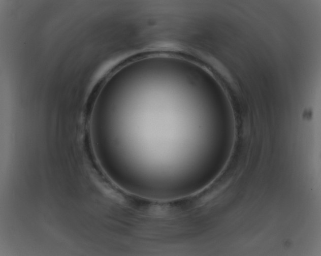 X0000093381364200710111446