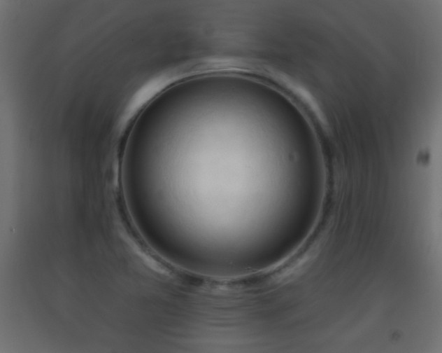 X0000093381365200710111446