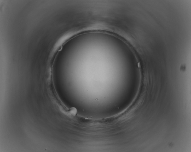 X0000093381366200710111446