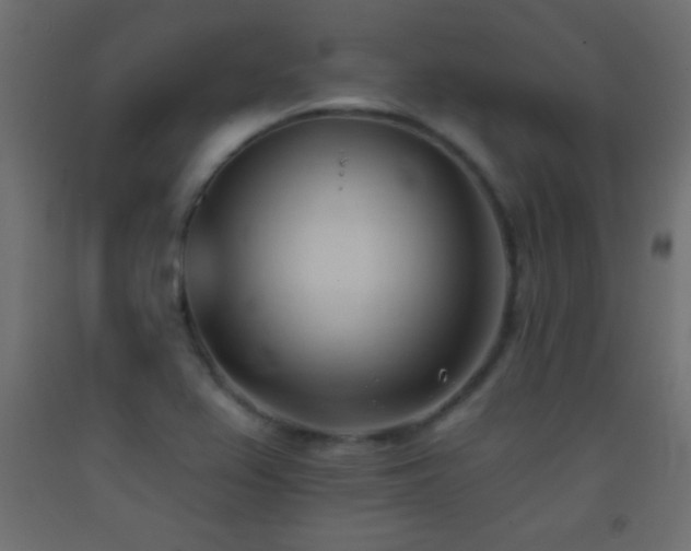 X0000093381367200710111446