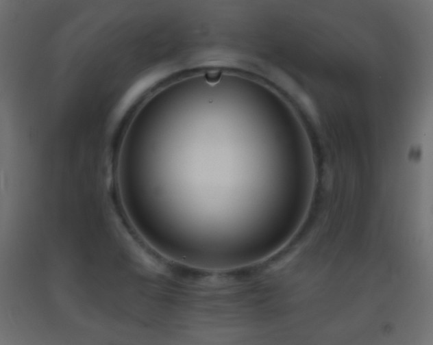 X0000093381368200710111446
