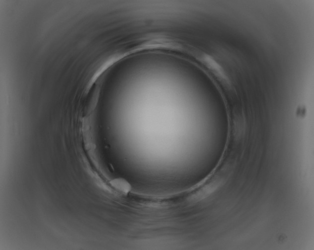 X0000093381369200710111446