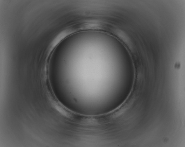 X0000093381370200710111446