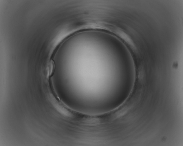 X0000093381372200710111446