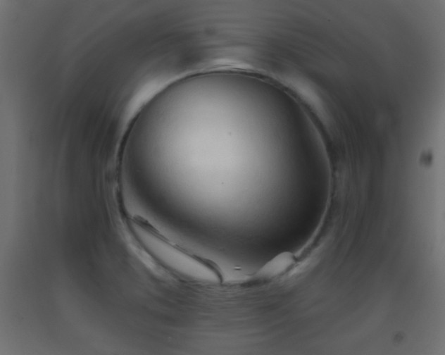X0000093381373200710111446