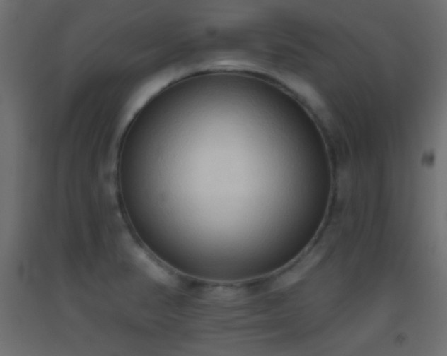 X0000093381374200710111446