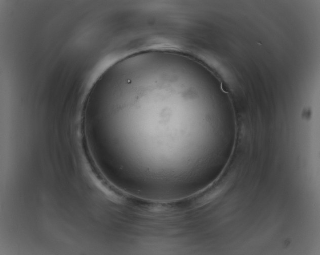 X0000093381375200710111446