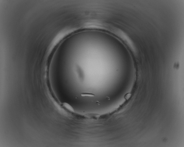 X0000093381376200710111446