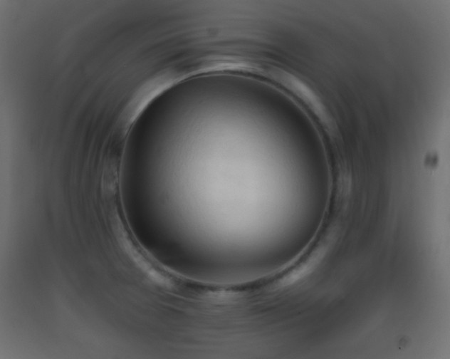X0000093381377200710111446